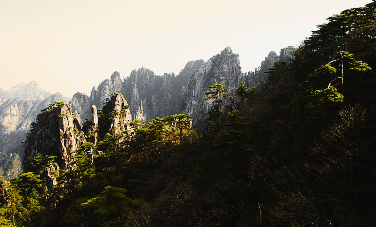 Huangshan & Hongcun Village 4 Day Tour