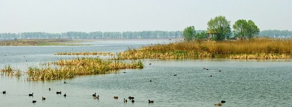 Top 10 Wetlands in Beijing