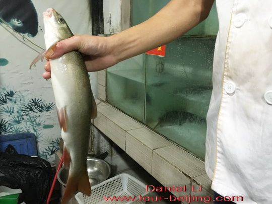 Ya fish caught alive and cooked freshly