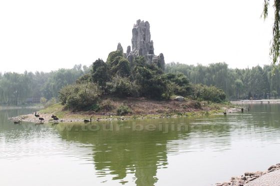 A black swan islet.