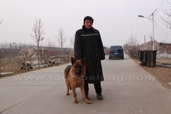 Beijing Tianyi Strawberry