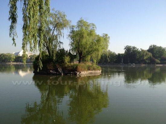 It is green and verdant in all places.
