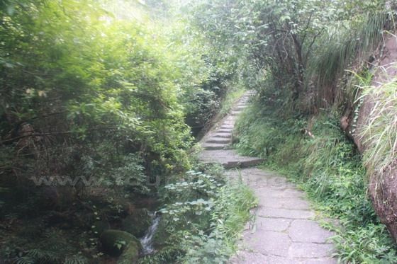 Accompanied by the running creek, we moved on along the bushy mountaind road.