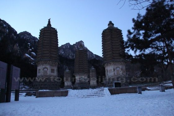 All five Jin Dynasty pagodas are multi-eaved brick structures on huge Sumeru platforms