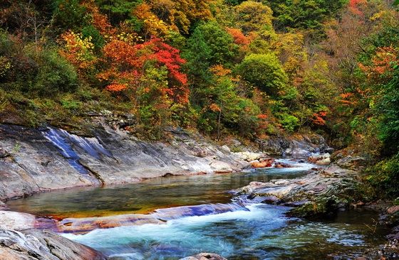 Autumn Color at Huangboyuan