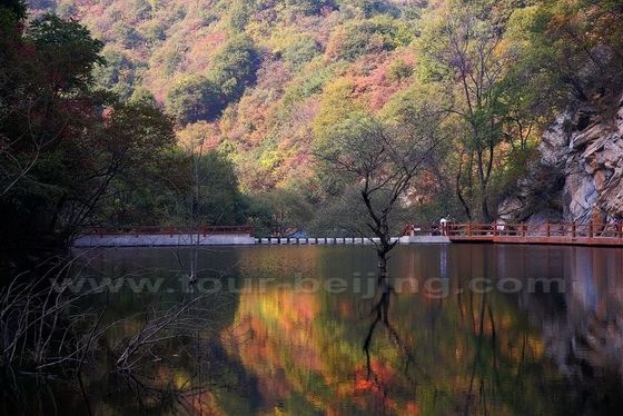 Autumn Color at Shaohua Mountain