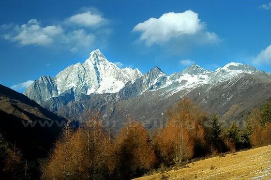 Autumn Hues in Siguniangshan