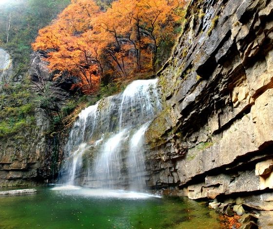 Autumn Leaves at Liping National Forest Park