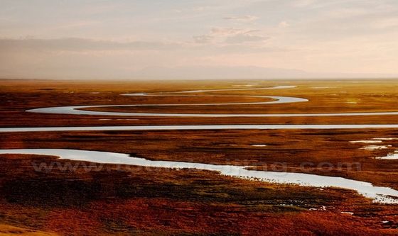 Autumn Scenery at Bayinbuluke Grasslands Xinjiang 
