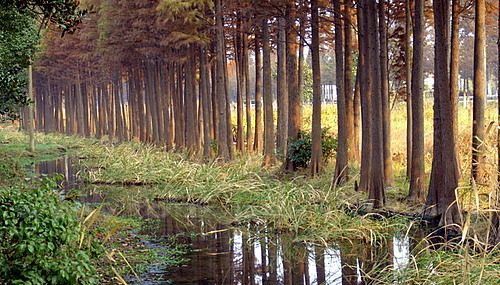 Autumn Scenery at Dianshan Lake