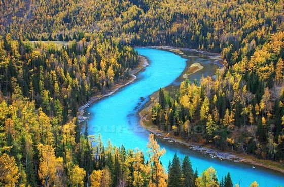 Autumn View at  Kanas, Xinjiang