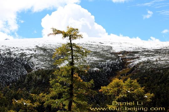 Baima Mountain