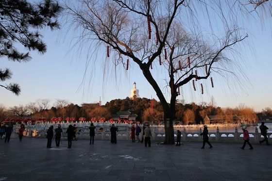 Bald trees, the lake and the white pagoda