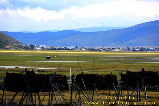 Barley drying racks