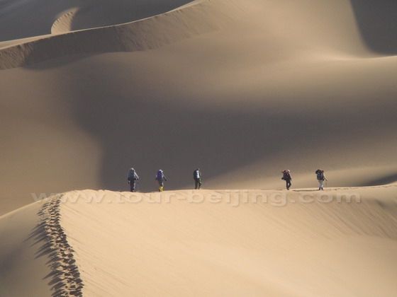 Brave and strong trekkers trudging through the Taklimakan desert