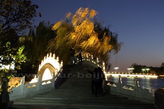Bridge under dancing willow trees