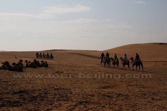 Camel Riding