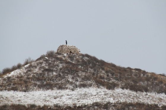 Climb up the round stone mound on the top