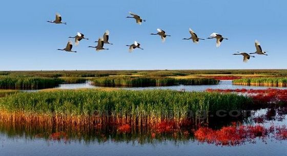 Dingxiang Eco-Tourism Resort 