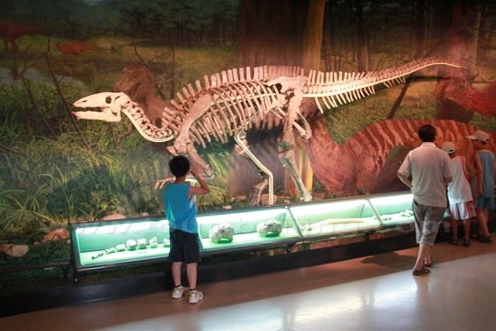 Dragon Skeleton