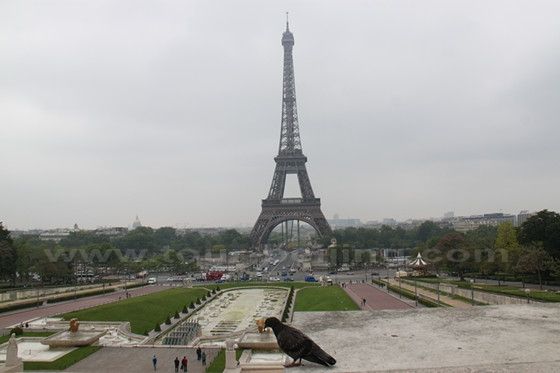 Some similarities and differences between Paris and Shanghai