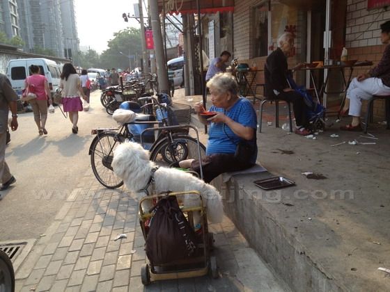 Enjoy eating out with the company of her dog