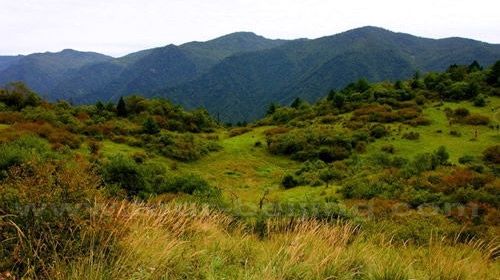 Fall Colors at Pingheliang Forest Park