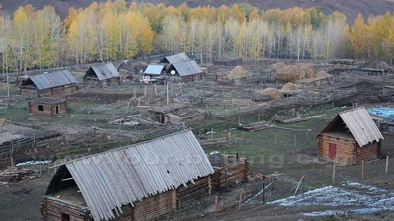 Fall Foliage at Baihaba 
