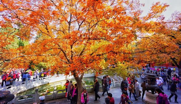 Best Places to See Fall Foliage in Beijing (Tips, Photos & Map)