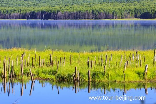 What a quiet place! Beautiful water and fragrant grass. 