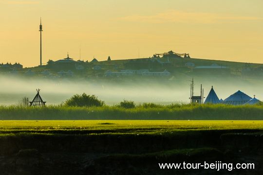 Thick Fog over the Grassland under the sunrise glow.