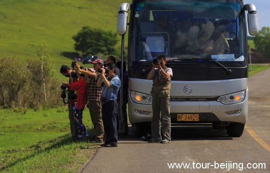 Standing by the roadside, we zoom in and out for the stupendous view!