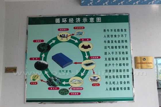 Green Yard Organic Dairy Farm is a Recycle Economy Model (in Chinese )
