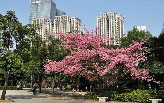 When is the best time to visit Guangzhou?