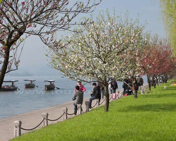 Hangzhou in Spring