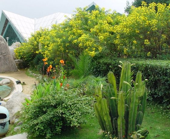 World Horticulture Exposition Garden in Kunming