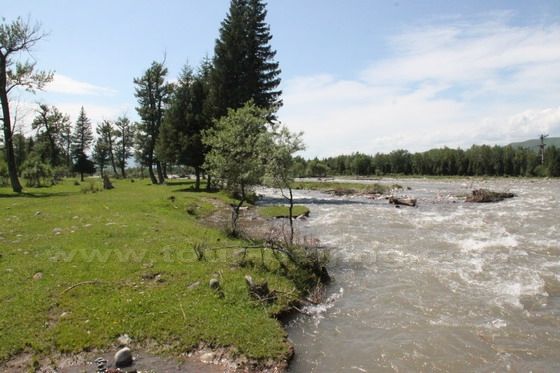 Narat Grassland  in Xinjiang