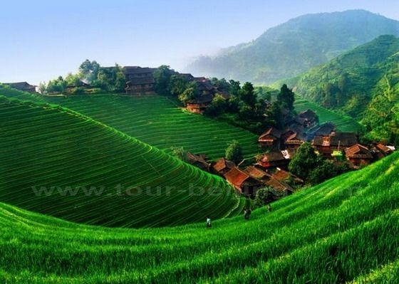 Longji Terraced Field