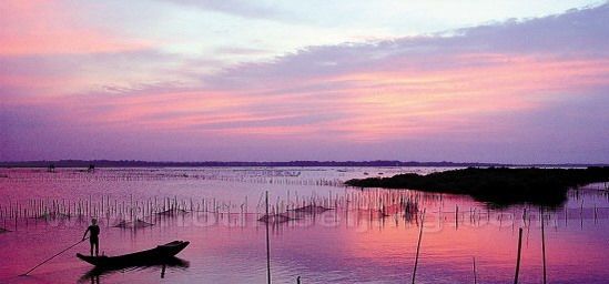 Mangrove Forest in Dongzhai Port 