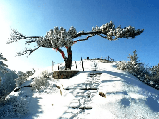 Mount Huashan in White Snow (6)