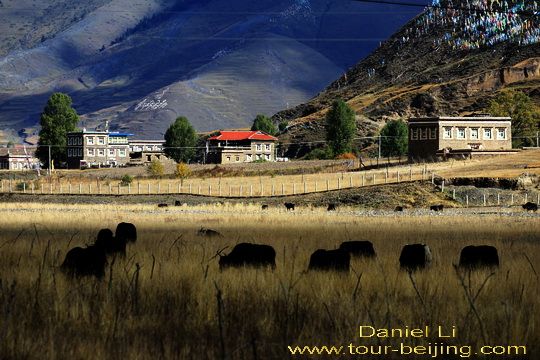 Drive from Xinduqiao to Danba