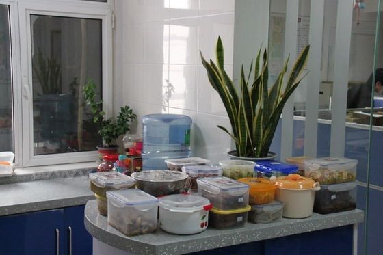 Our Second  Potluck Lunch in Office, a Great Gourmet Experience!