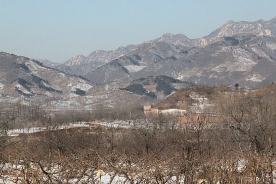 On your left side is an orchard dotted with chestnut trees, Walnut Trees and persimmon trees.