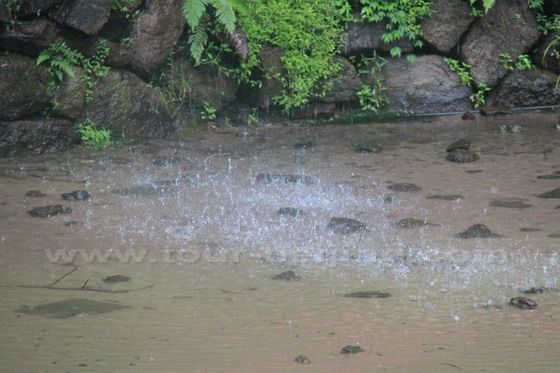Rippled pond under the falling water from the top in the Water Curtain Cave.