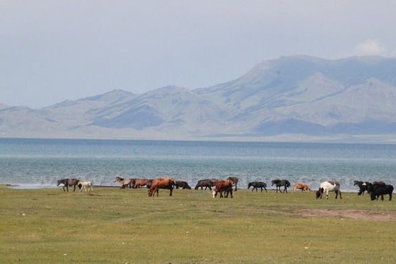 Sayram Lake (10)