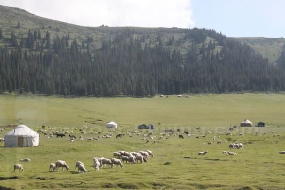 Sayram Lake (11)