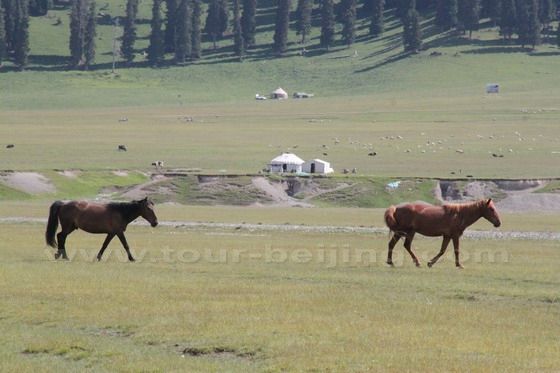 Sayram Lake (5)
