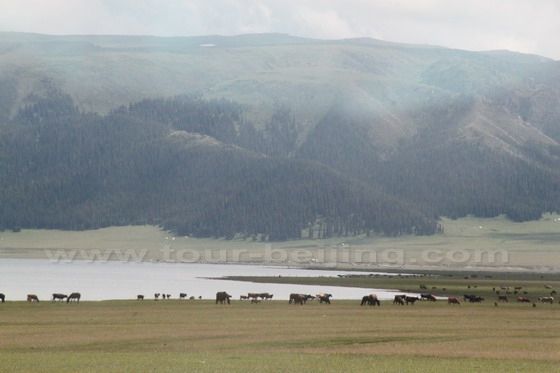 Sayram Lake (6)