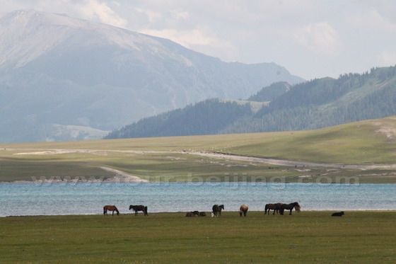 Sayram Lake (7)