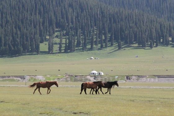 Sayram Lake (9)